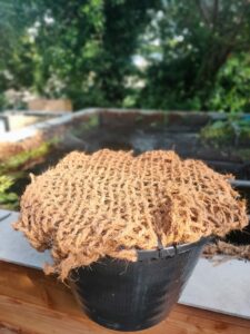 Fibre de coco dans le bassin
